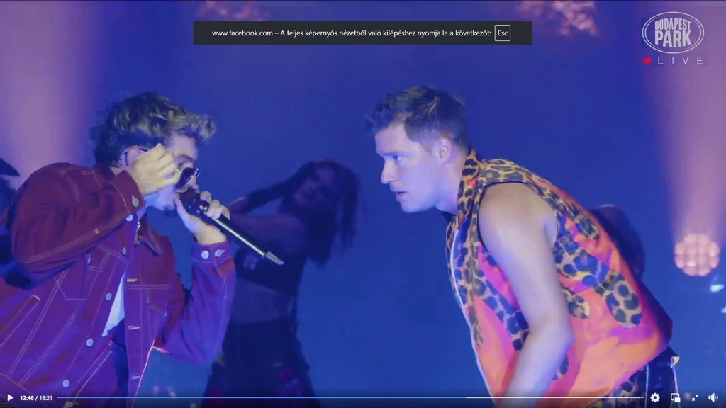  Valkusz Milán egy ordítás után rogyott térdre a közönség előtt. fotó: Budapest Park