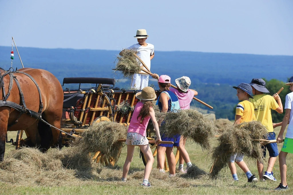 Beni fia is mindig vele tart