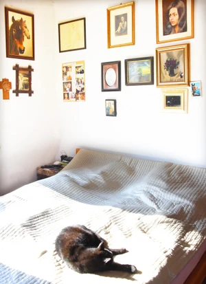 Benkő Péter otthona