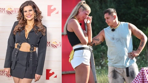 aurelio david petra barnai judit