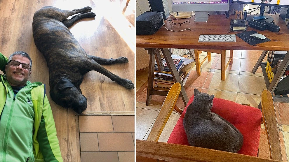 Kutyusa gyakran a szerkesztőségbe is elkísérte, a macskáját még most tanulja (Fotók: Archív)