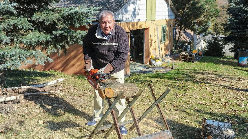 domsodi gabor
