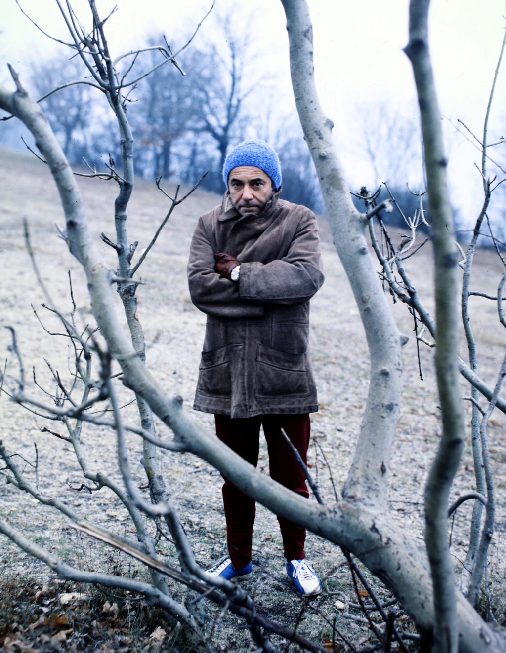 Vitray Tamás 1979-ben (Fotó: Fortepan/Szalay Zoltán)
