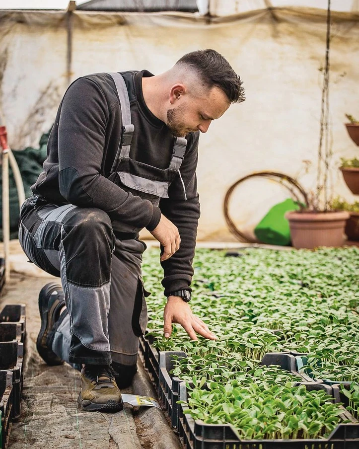 Tavasszal és nyáron a legtöbb a munka (Fotó: Archív)