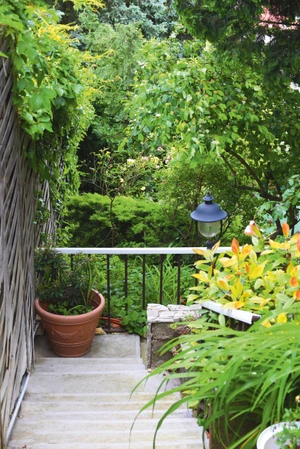 zsadon andrea szolnoki tibor 3