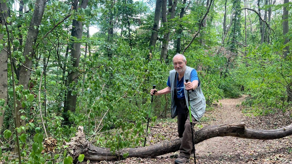Juhász Árpádnak esze ágában sincs elhagyni magát