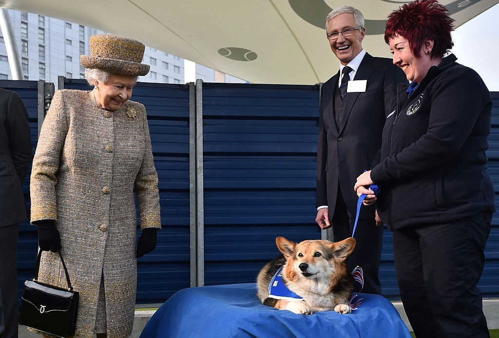 II. Erzsébet királynő 2015-ben a Battersea Dogs and Cats Home kutyamenhely megnyitóján mosolyogva figyelt egy corgit (Fotó: Getty Images)