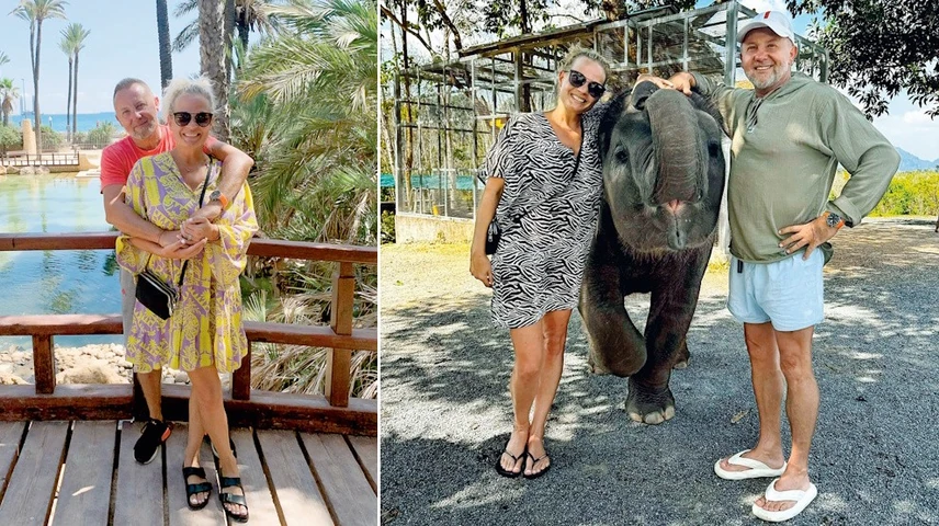 villanyi fresh andi ferje