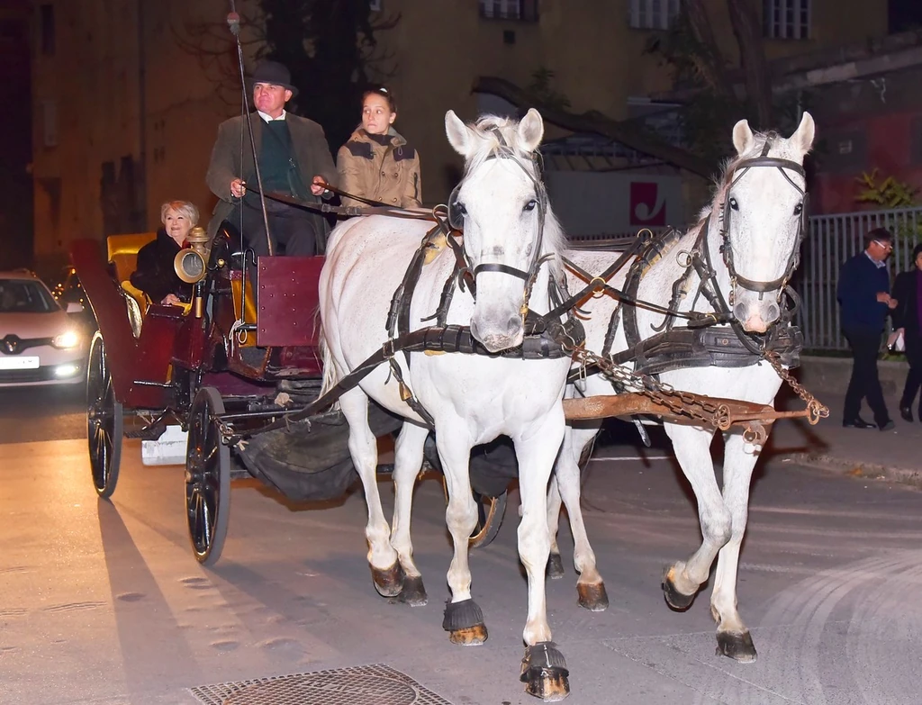Pályafutásának 70. évfordulójára szervezett gálára hintóval érkezett (Fotó: Olajos Piroska/fotocentral.hu)