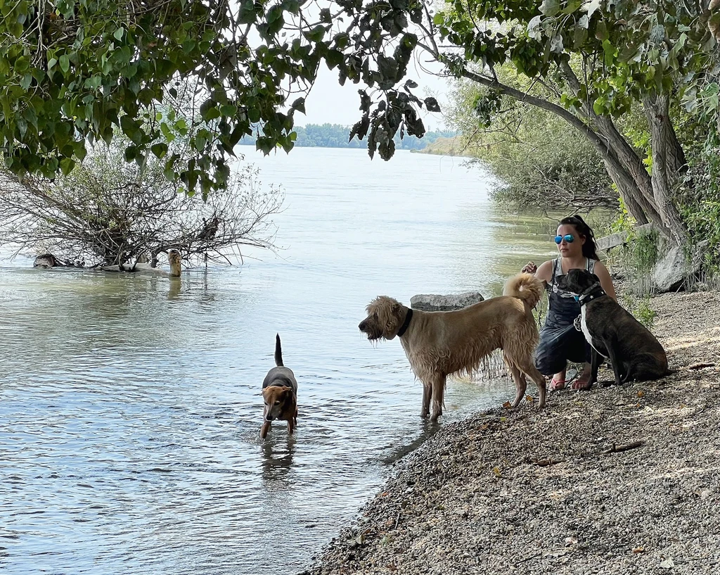 Ma már jóval kíméletesebb és kisebb sétákat tesz (Fotó: Archív)
