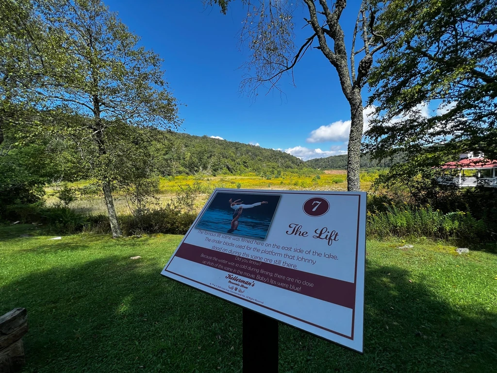 Az egykori tó medrét belepték a növények (Fotó: Archív)