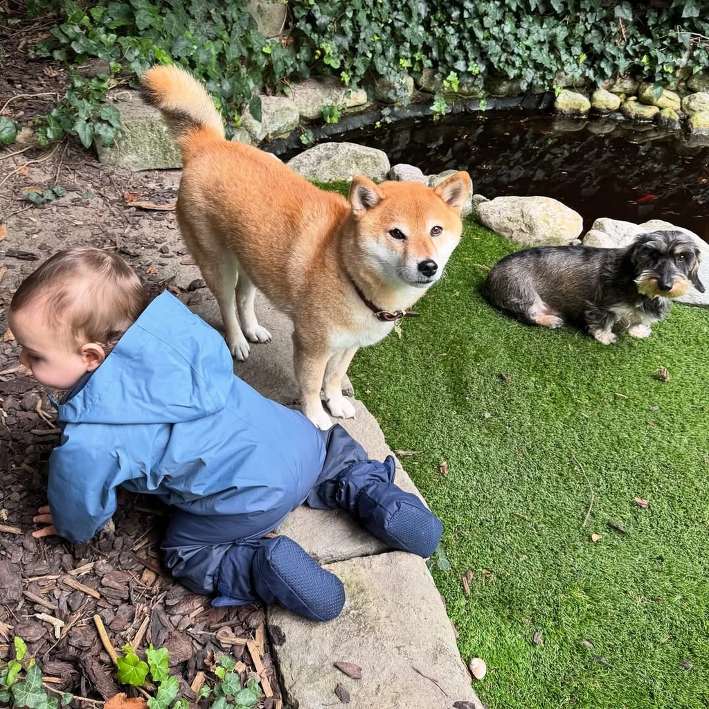 Noel már bölcsis (Fotó: Archív)