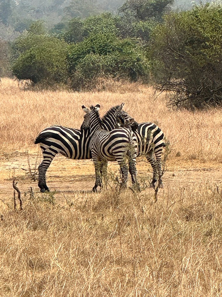 A közösségi oldalán rengeteget élőzött Afrikában is (Fotó: Archív)