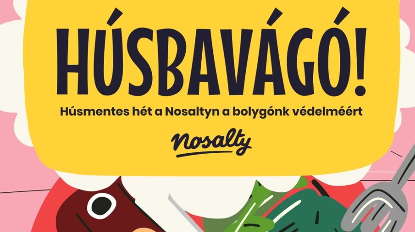húsbavágónyito