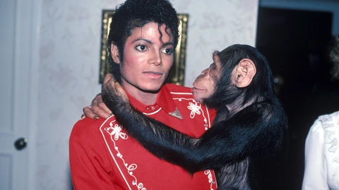 Michael Jackson és Bubbles a nyolcvanas években