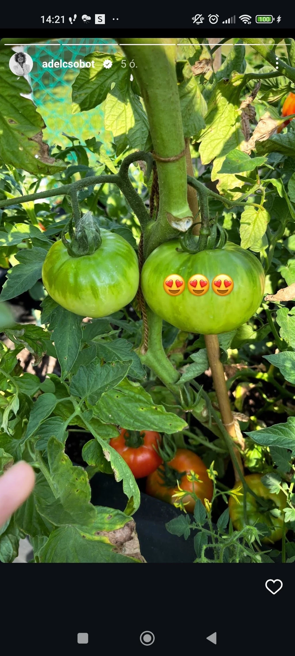 Screenshot_2024-07-18-14-21-31-095_com.instagram.android