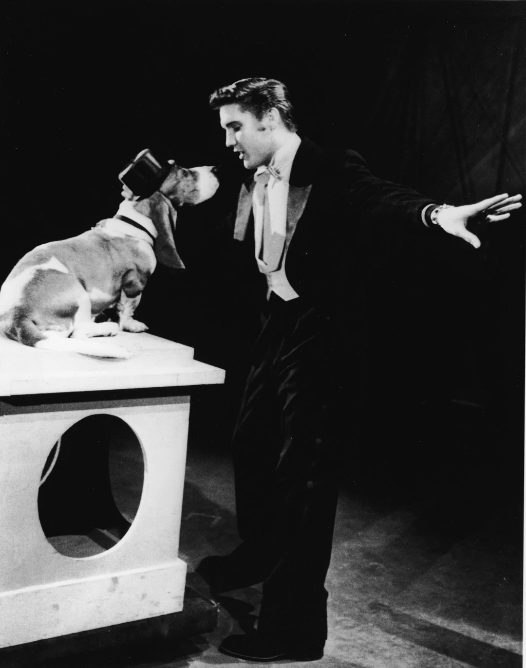 Elvis Presley egész életében imádta a kutyákat