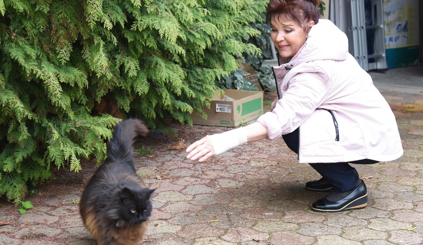 dzsupin-ipolya-nyito