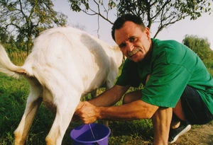 Nagy Feró