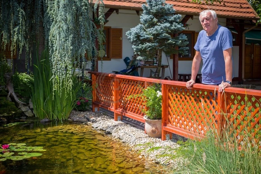Havas Henrik nem volt elégedett a kertészek munkájával (Fotó: Birton Szabolcs/fotocentral.hu)