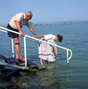 goncs arpad zsuzsanna 3