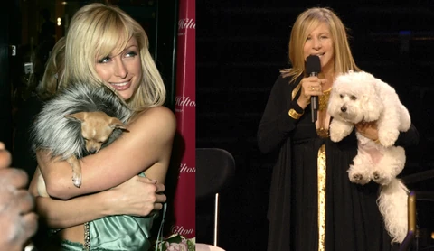 barbra streisand paris hilton
