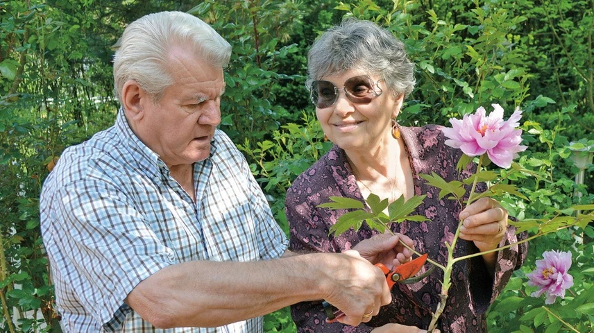 pecsi_szucs_napi friss