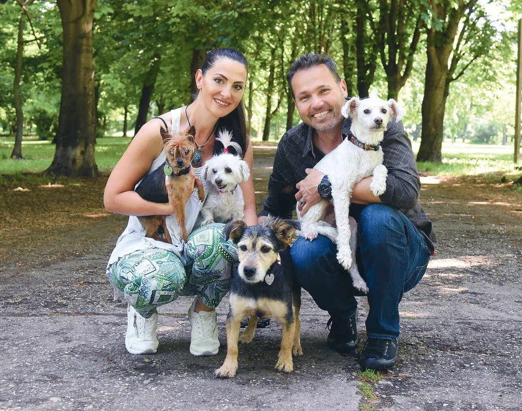 Négy kutyájuk is elegendő elfoglaltsággal jár (Fotó: Olajos Piroska)