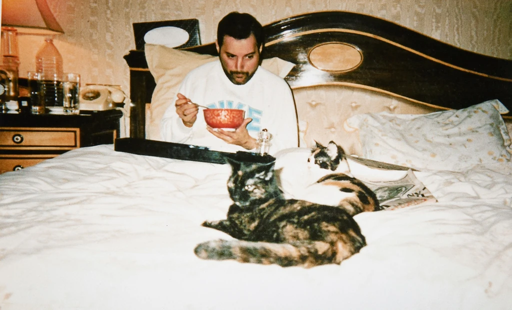Freddie Mercury köztudottan imádta a macskákat
