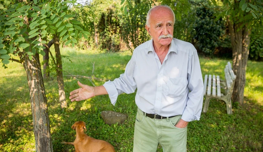 koltai janos