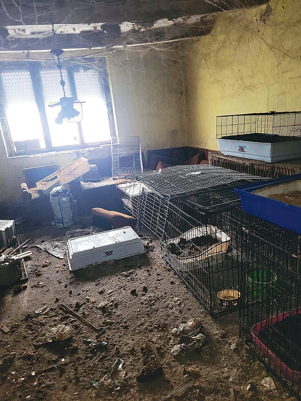 Az egész országot sokkolták a helyszíni felvételek