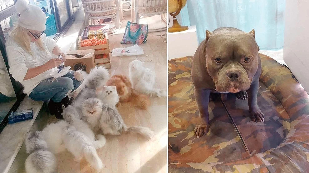 A cicák és Pablo (Fotók: Archív)