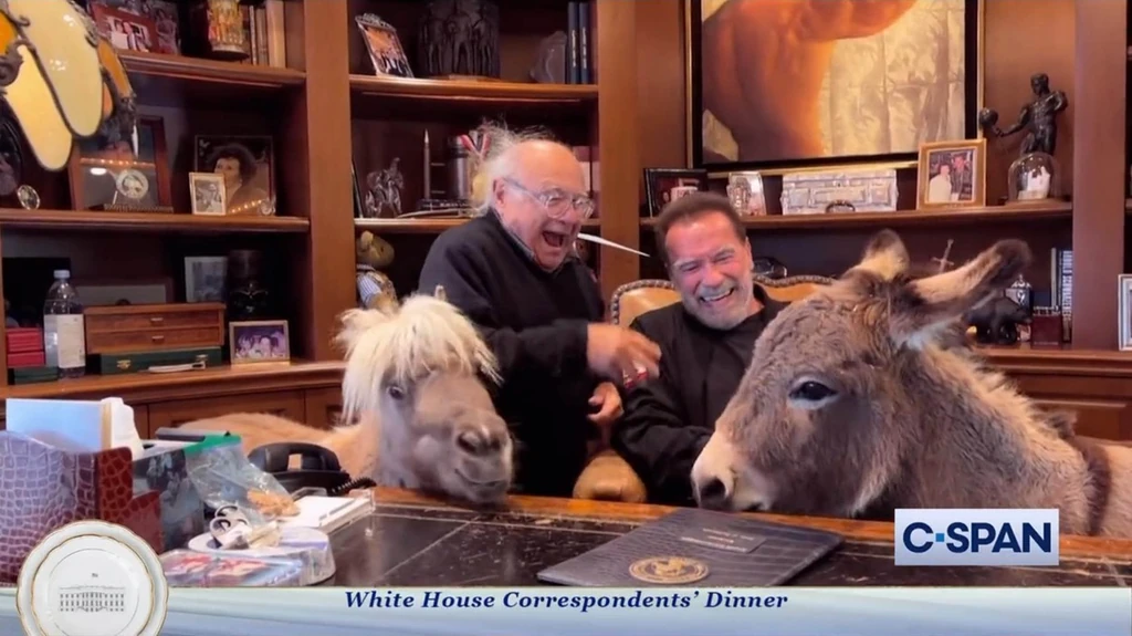 A volt kormányzónak van törpepónija és szamara is (Fotó: Profimedia)