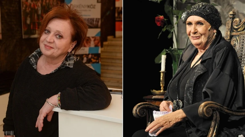 csakanyi eszter psota iren