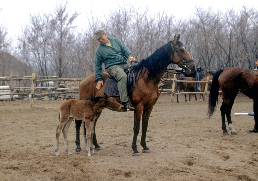A színész mindig kitűnő lovas volt (Fotó: Török László/fotocentral.hu)