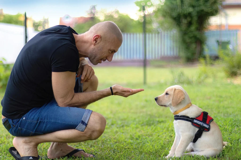 A nevelőapa és a kis Álom