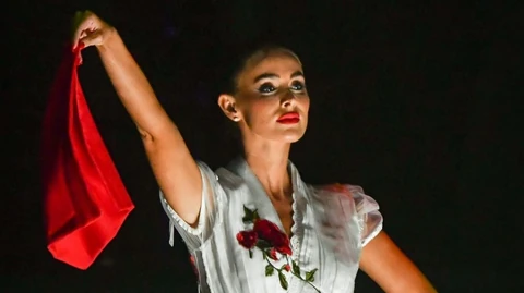 Sydney van den Bosch