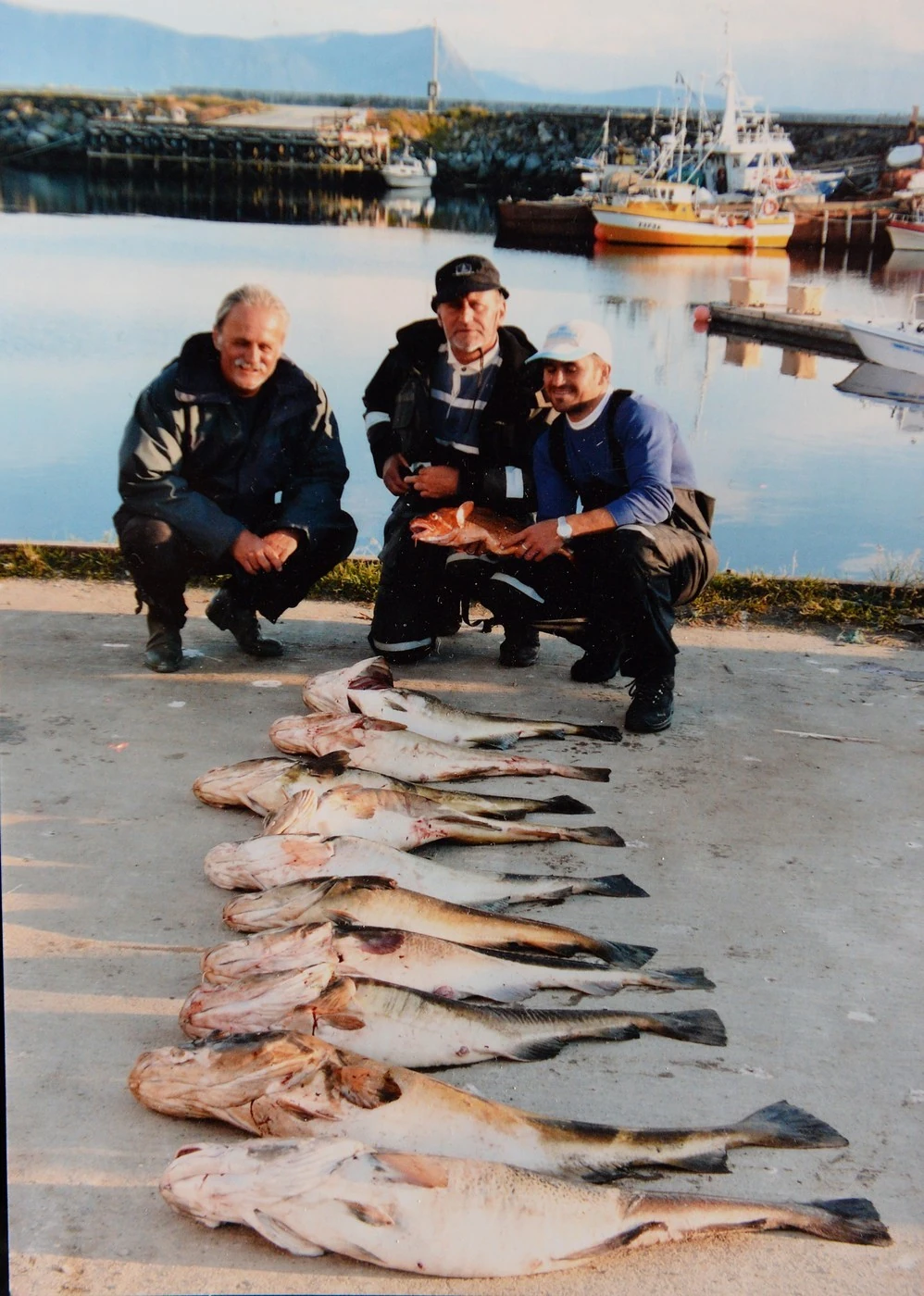 Trokán Péter, Reviczky Gábor és Csőre Gábor (Fotó: Nagy Zoltán/fotocentral.hu)