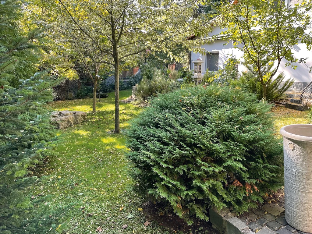 A gyönyörű kert olyan, akár egy arborétum, amibe Erika minden évben újabb és újabb örökzöldeket vásárol