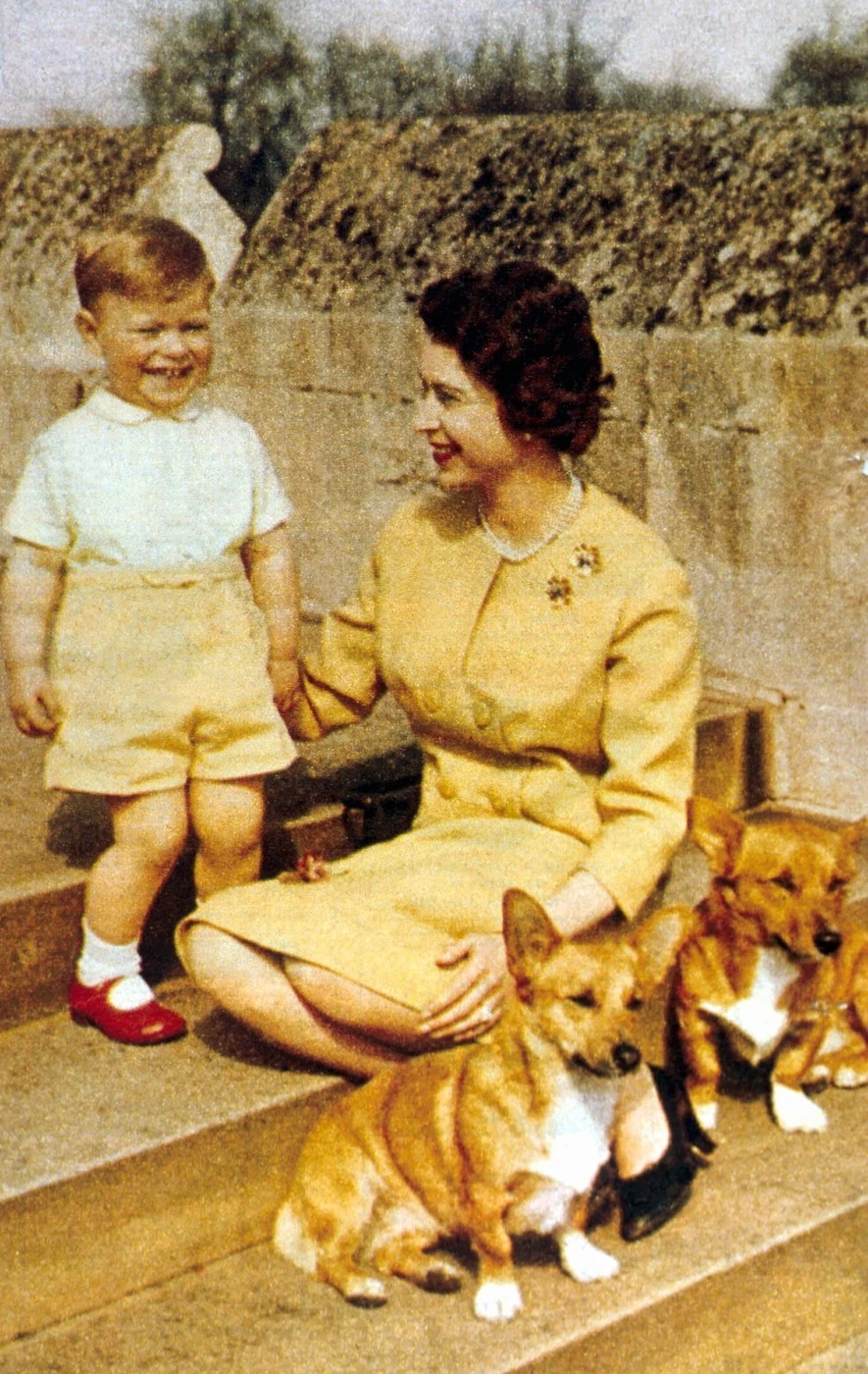 Erzsébet 1962-ben a kedvenc fiával, Andrással és akkori corgijaival (Fotó: Profimedia)