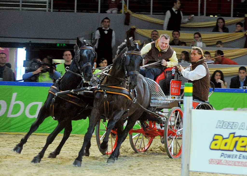 A Forma–1 mellett a fogathajtásban is szerzett tapasztalatokat (Fotó: DFP)