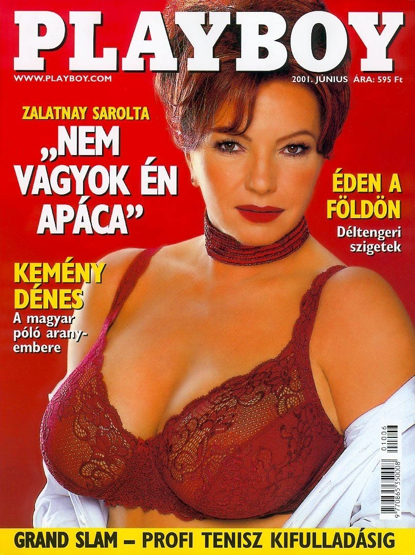 Zalatnay Cini 53 évesen aratott diadalt a nyuszis magazin címlapján (Fotó: Playboy)