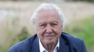 Több mint 40 különböző fajt neveztek el róla – 10 dolog a ma 100 éves David Attenboroughról, amit talán ön sem tudott