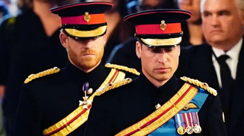 vilmoshercegharryherceg