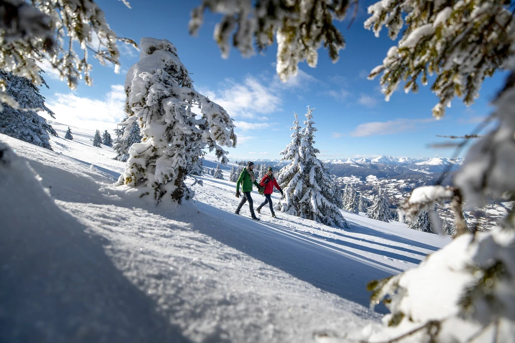 © Steiermark Tourism_Tom Lamm