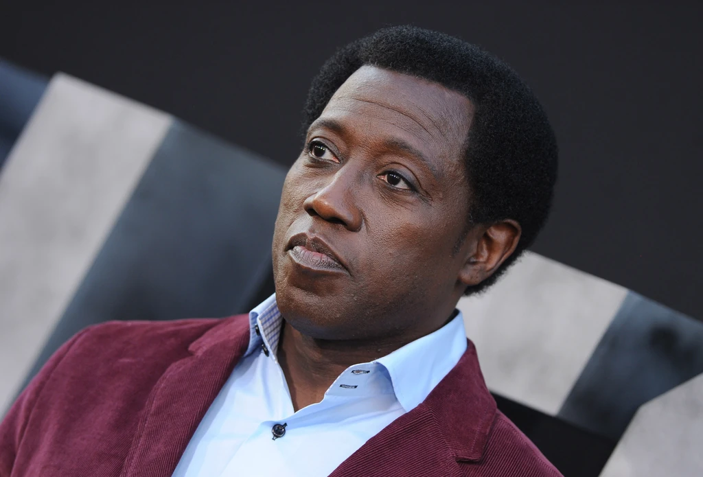 Wesley Snipes dollármilliókat csalt el, ezért pedig ülnie kellett