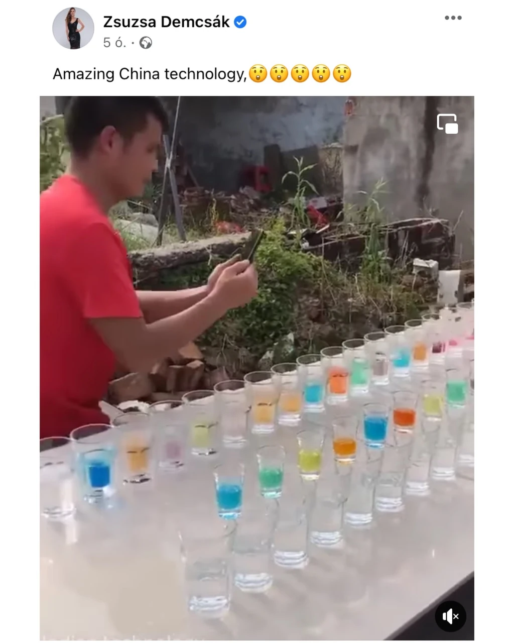 Zsuzsa meglepetten vette észre a Facebook-oldalán közzétett videókat