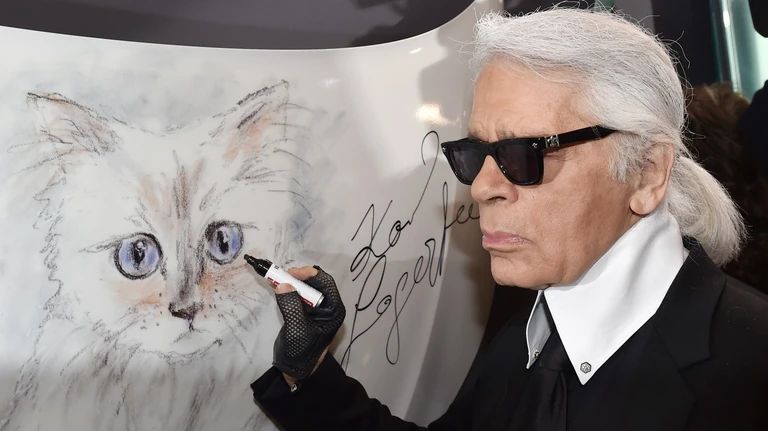 Egy vagyont örökölt a legendás divattervezőtől, mégis csődbe ment Karl Lagerfeld macskája