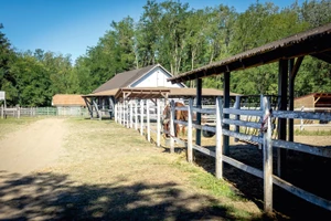 Gyuri gazda lovardája