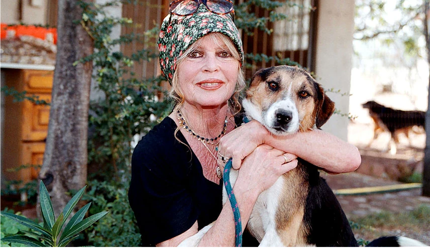 bardot